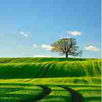 长﻿尾‍关﻿键‍词​查﻿询‍工‌具﻿